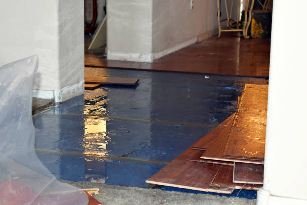 Professional Water Damage Restoration technician working in Seabeck, WA